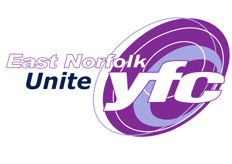 UNITE logo 2015